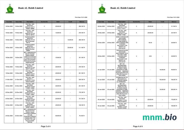 Pakistan Bank Al Habib wyciąg z konta Word i szablon PDF, 4 strony, 1-2 strony